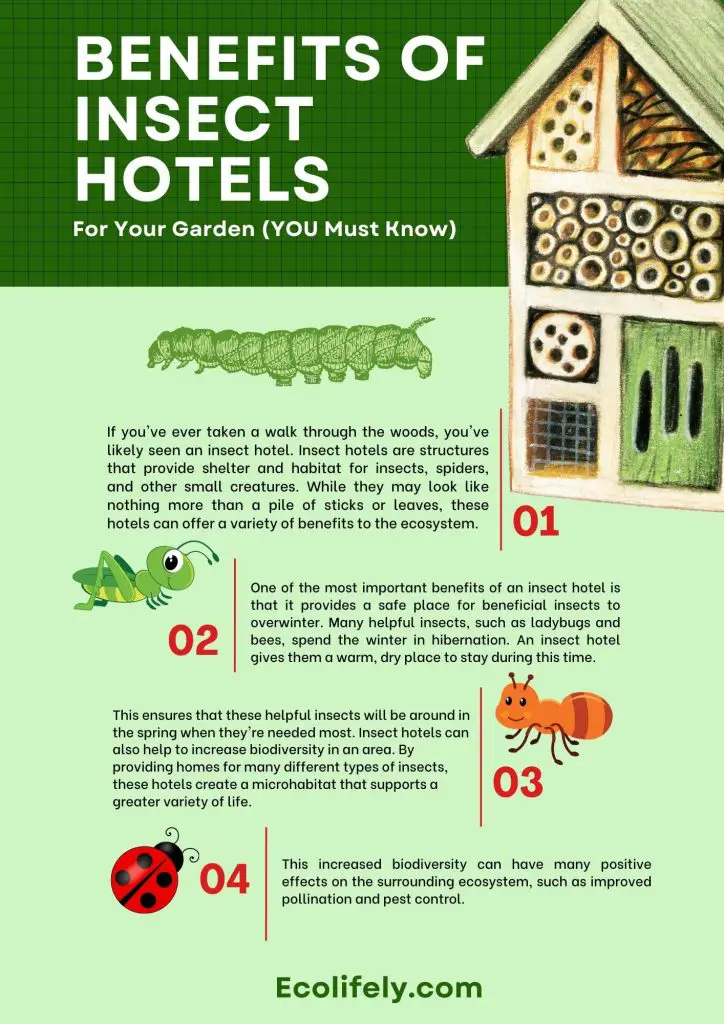 Benefits Of Insect Hotels