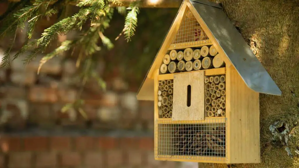 Benefits Of Insect Hotels For Your Garden (YOU Must Know)