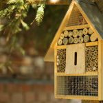 Benefits Of Insect Hotels For Your Garden (YOU Must Know)