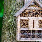 Bug And Insect House What is a Bug Hotel