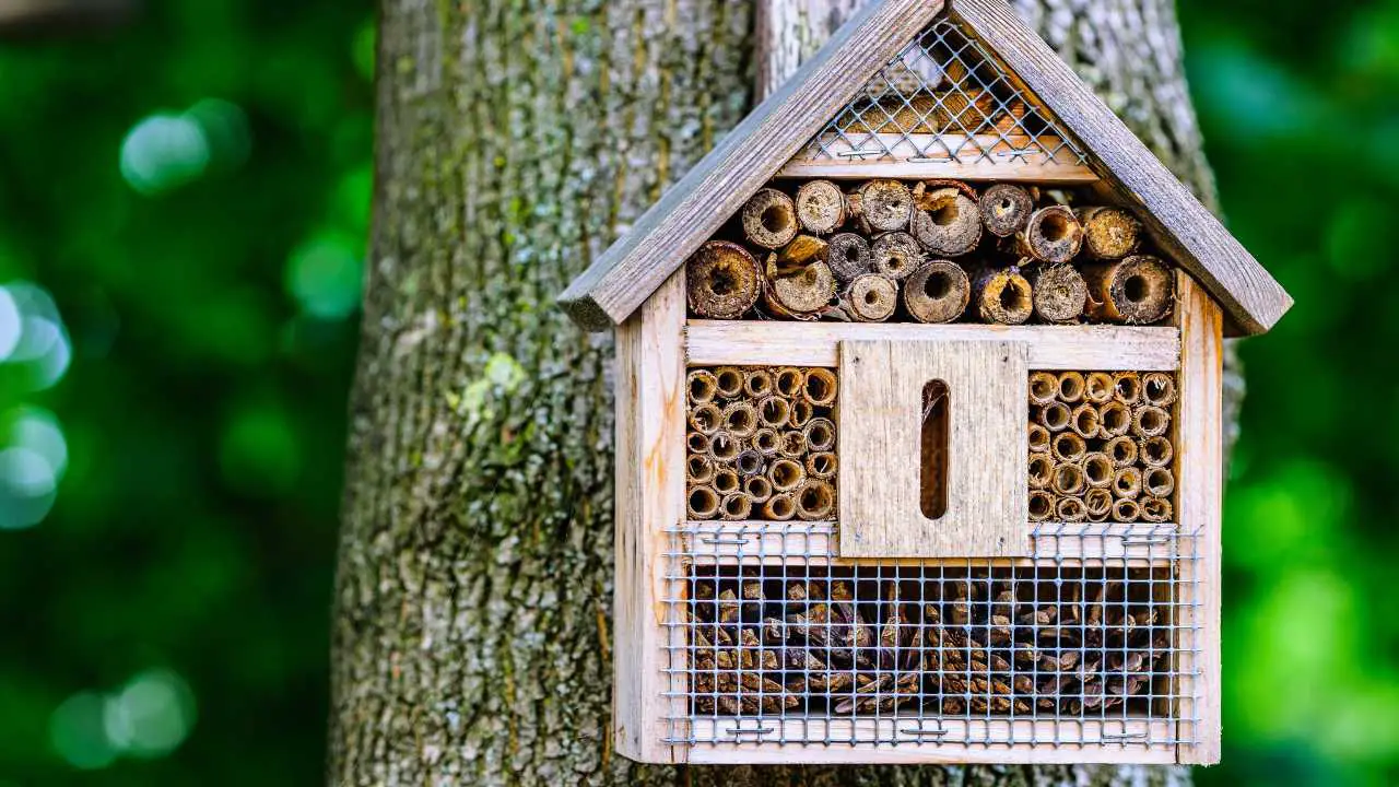 Bug And Insect House What is a Bug Hotel