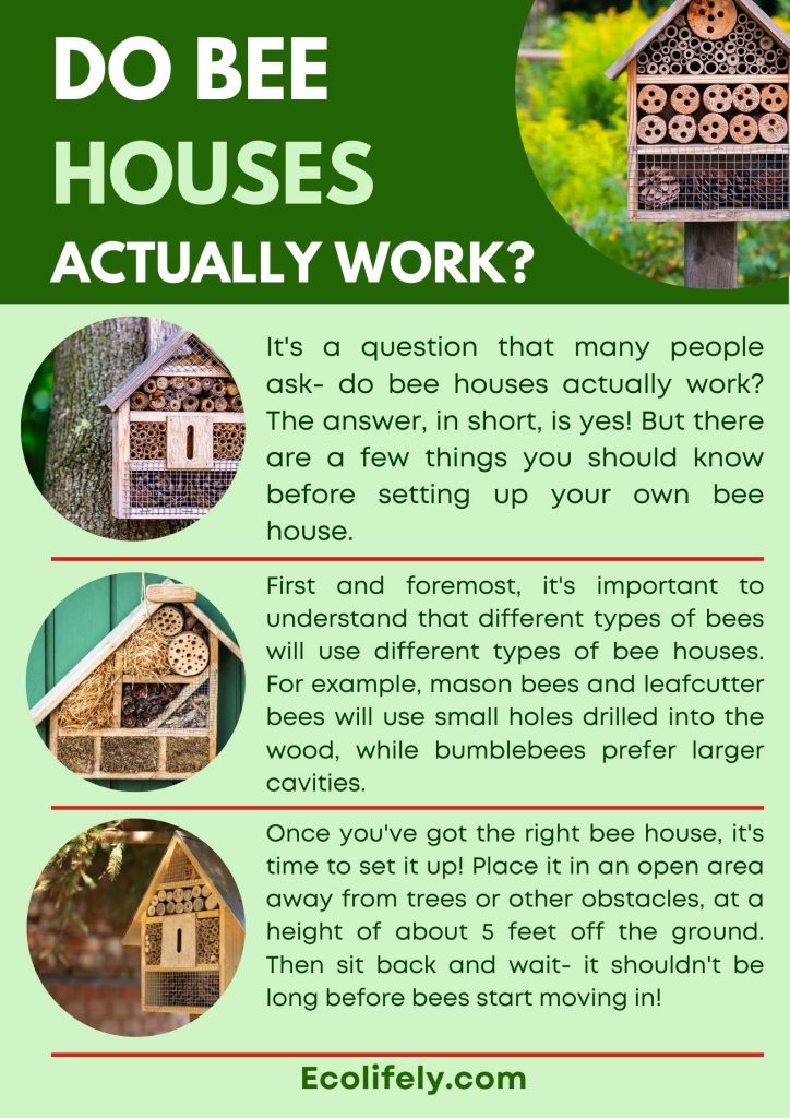 do bee house work