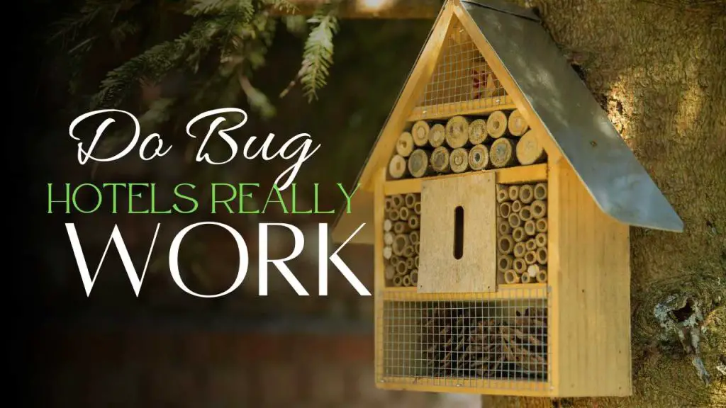 Do Bug Hotels Really Work? (Must-Know)