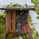 Facts About Bug Hotels