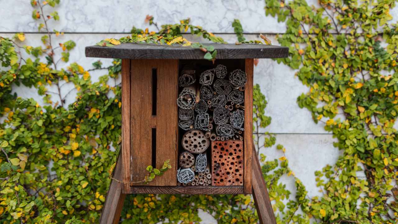 Facts About Bug Hotels