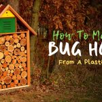 How To Make A Bug Hotel From A Plastic Bottle