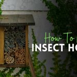How To Make An Insect Hotel?