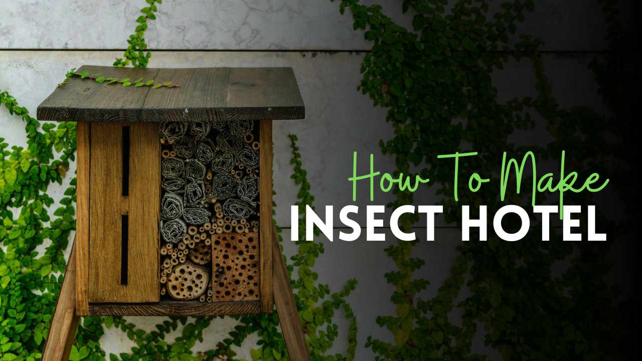 How To Make An Insect Hotel?