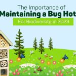 The Importance of Maintaining a Bug Hotel For Biodiversity in 2023
