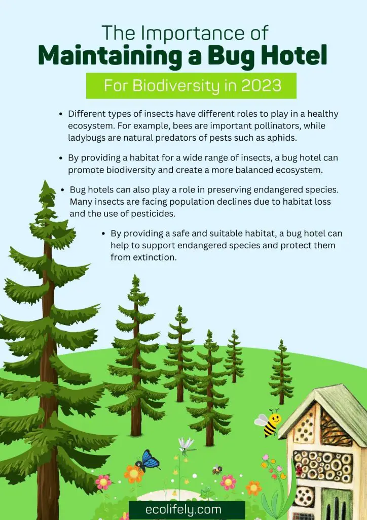 The Importance of Maintaining a Bug Hotel For Biodiversity in 2023