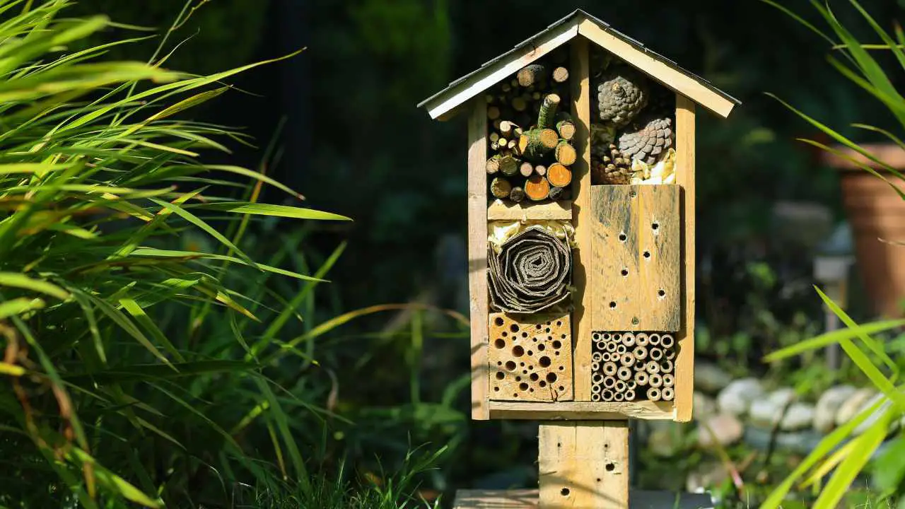 Are Bug Hotels a Cost Effective Solution For Natural Pest Control?