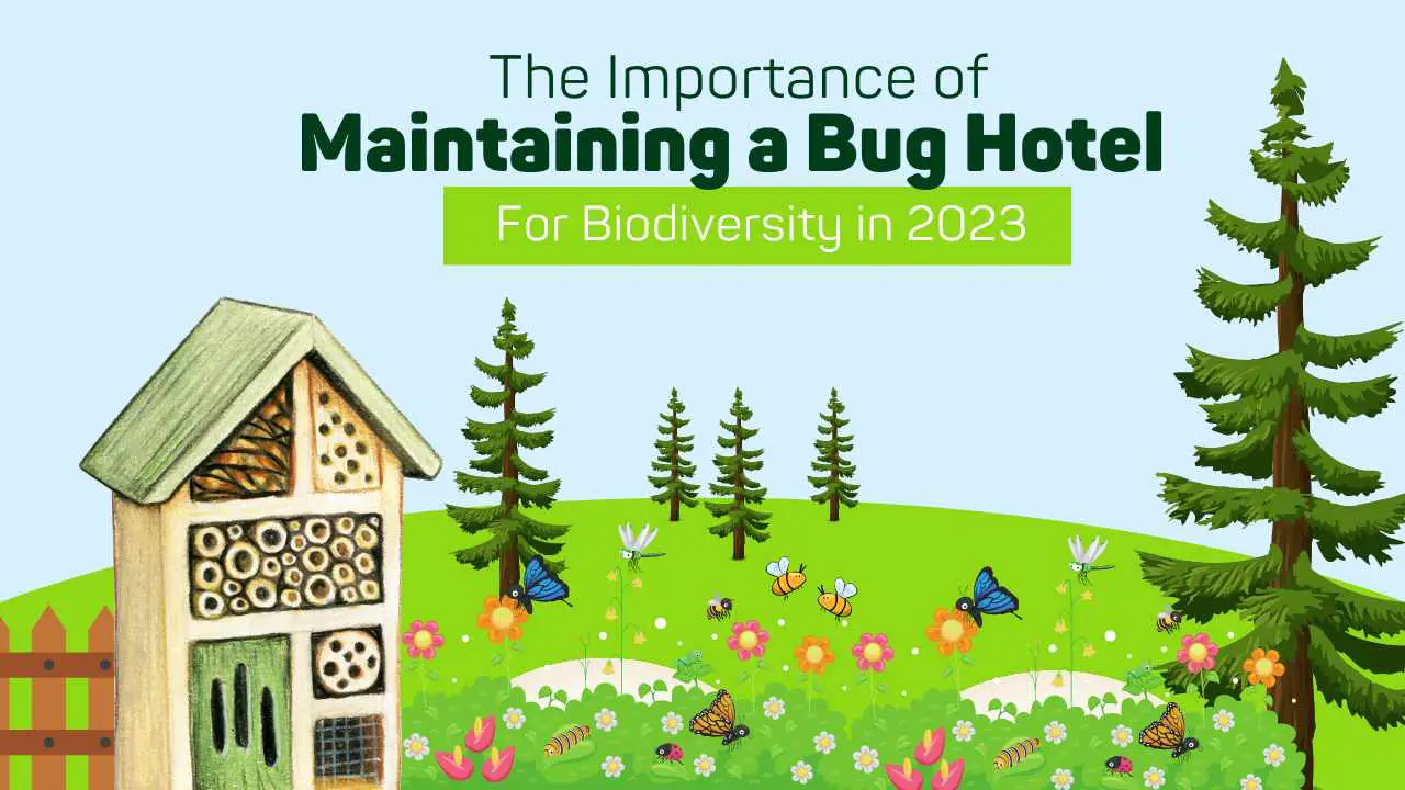 The Importance of Maintaining a Bug Hotel For Biodiversity in 2023