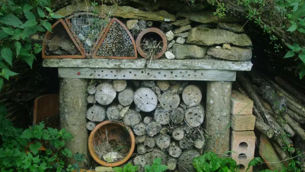Where is the Best Place to Put a Bug Hotel?