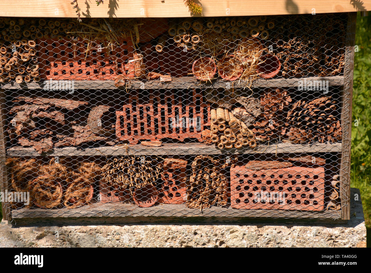 Does A Bug Hotel Need To Be In Sun: Sun or Shade?