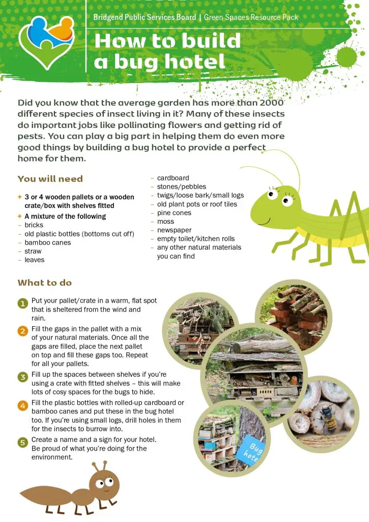 how-to-build-a-bug-hotel_page-0001