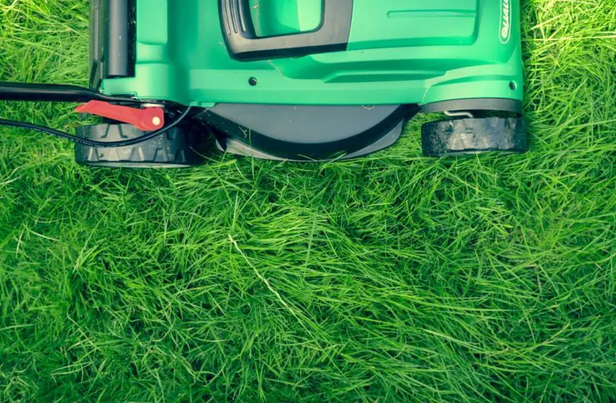 What Time Can I Legally Mow My Lawn?