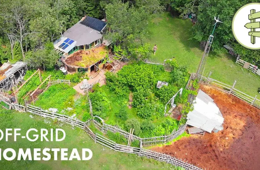 Off Grid Living Ideas: Live Freely and Be Sustainable!