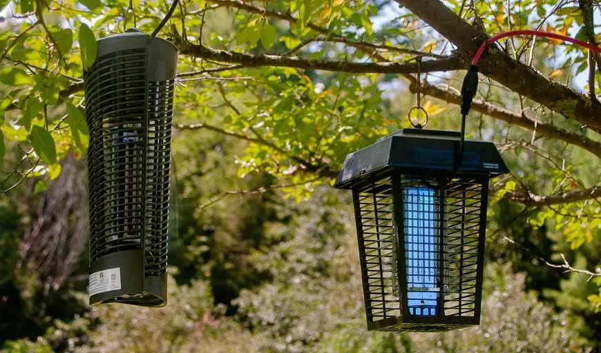 How High Should You Hang a Bug Light?