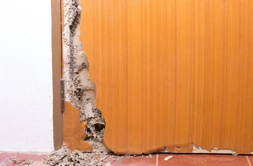 how much can termite damage cost
