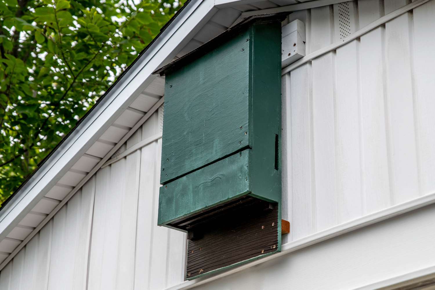 Homemade Bat Houses