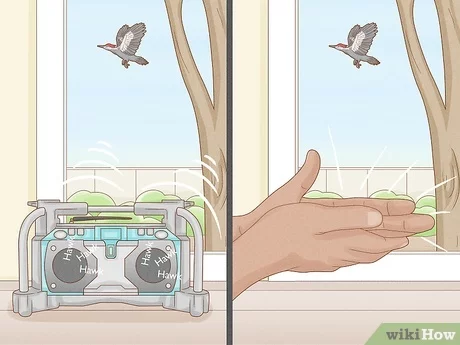 How to Get Rid of Woodpeckers from Your House: 7 Effective Solutions