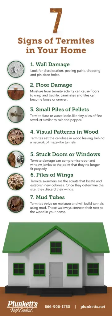 How to Tell If Your House Has Termites