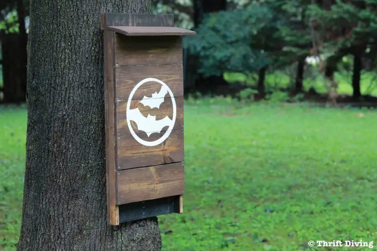 How to Built Homemade Bat Houses