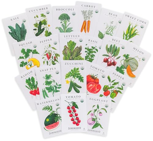 Best Organic Vegetable Seeds for Beginners (2025 Review)