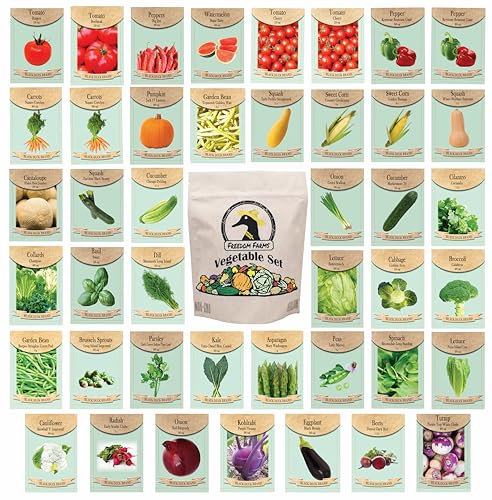 Best Organic Vegetable Seeds for Beginners