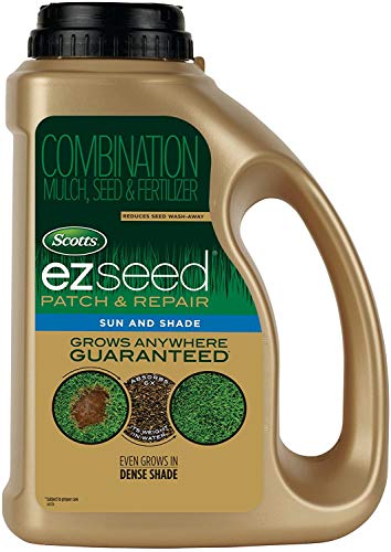 Eco Friendly Grass Seed for Dry Areas
