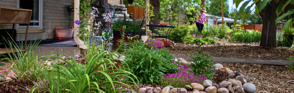 Eco-Friendly Lawn Care: Save Water Save the Planet