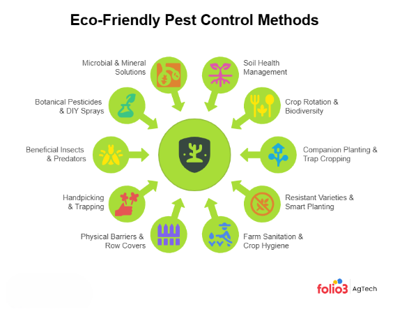 Eco Friendly Weed Control Methods