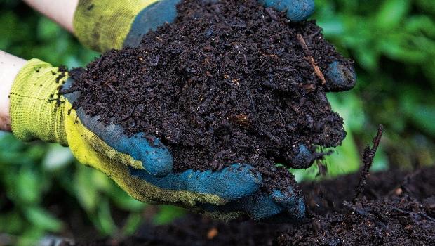 How to Make Compost Without Smell
