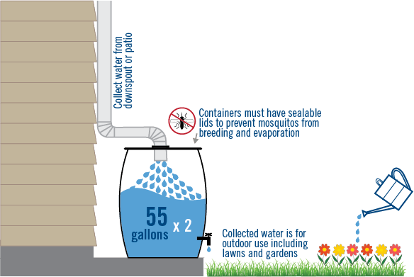 How to Reduce Water Bills With Rainwater