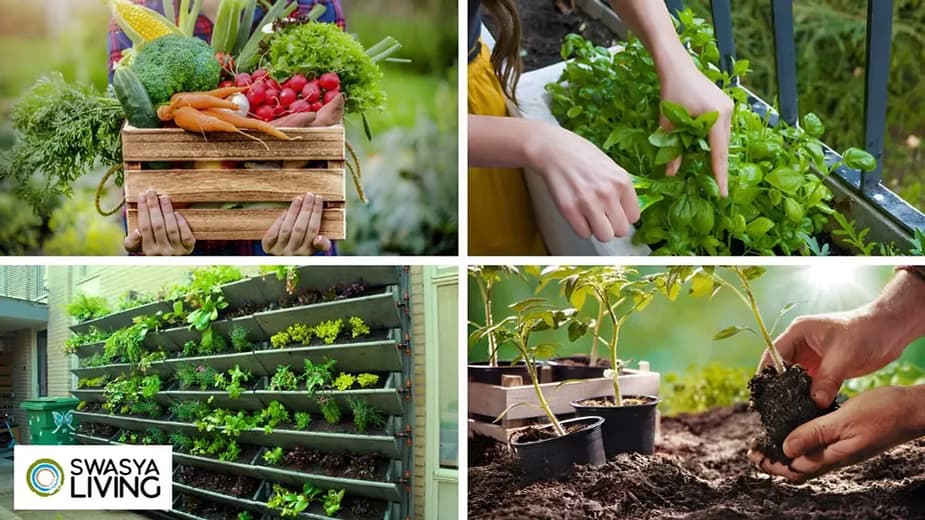 How to Start Organic Gardening at Home