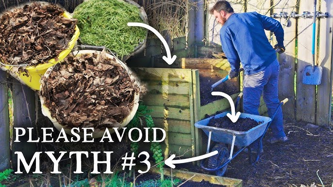 Natural Pest Control for Vegetables Without Chemicals