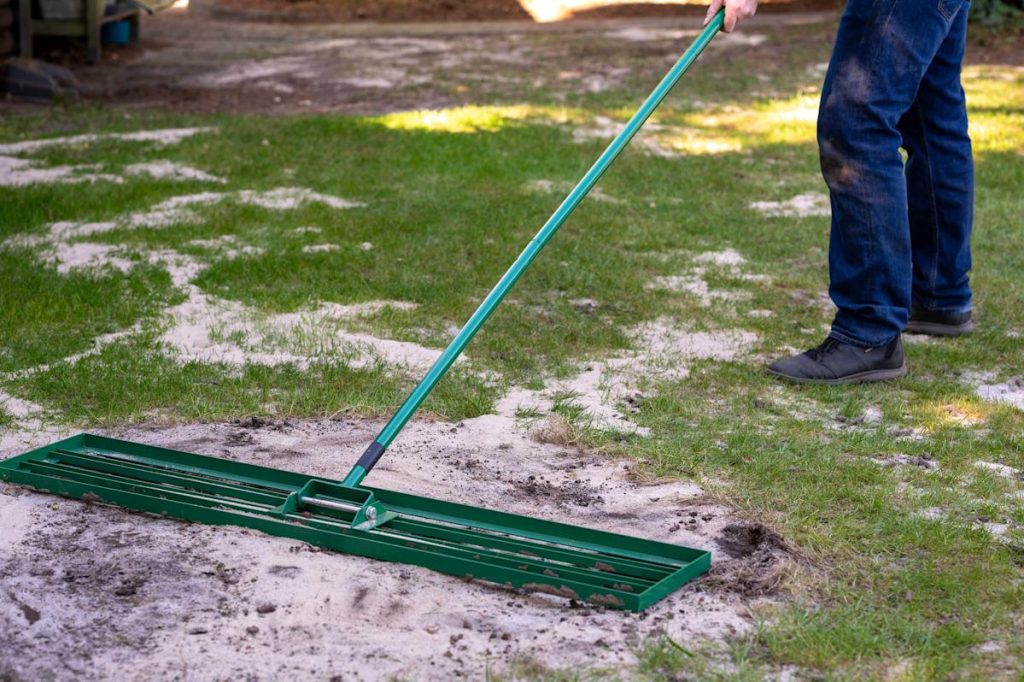 Natural Ways to Make Lawn Green And Healthy